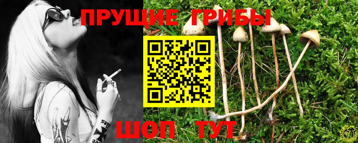 Клинцы  Галлюциногенные грибы мицелий  наркотики  Вход с VPN  Псилоцибиновые грибы GOLDEN TEACHER 